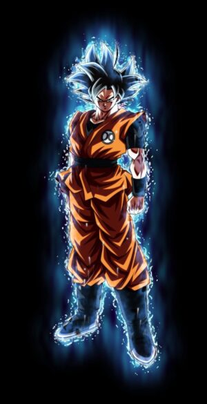 Son Goku Wallpaper 