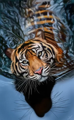 Tiger Wallpaper 