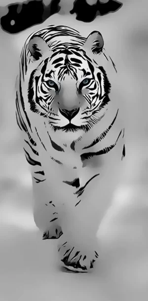 Tiger Wallpaper