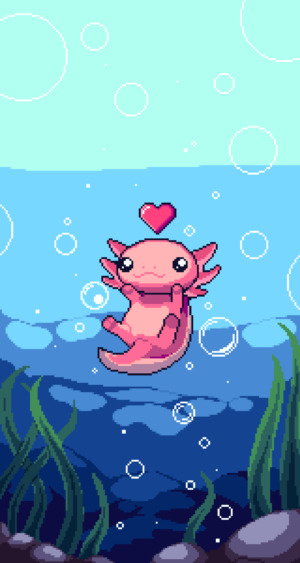 Axolotl Wallpaper