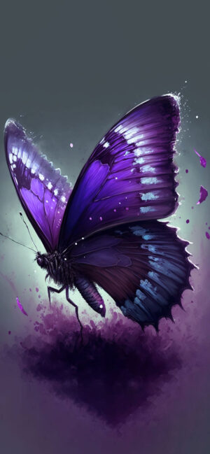 HD Butterfly Wallpaper 