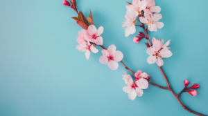 Desktop Cherry Blossom Wallpaper