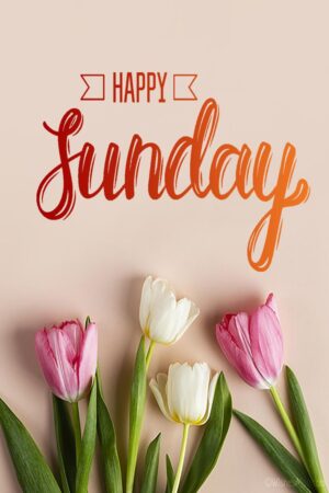 Happy Blessed Sunday Wallpaper