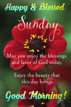 Happy Blessed Sunday Wallpaper 