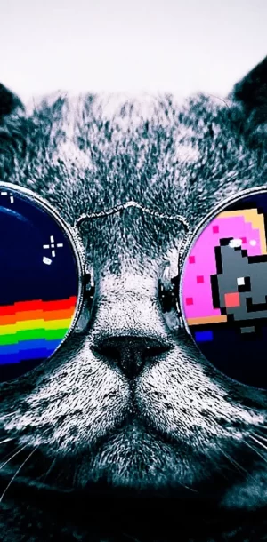 4K Nyan Cat Wallpaper