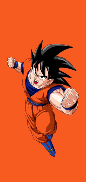 Son Goku Background 