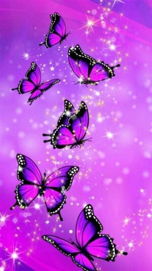 Butterfly Wallpaper