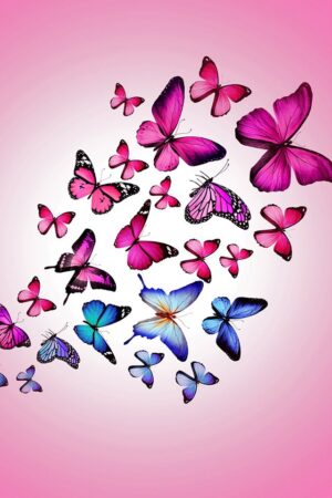 Butterfly Background