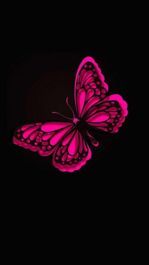 Desktop Butterfly Wallpaper