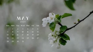 Desktop May Day Wallpaper