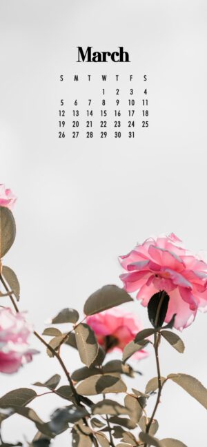 May Day Background