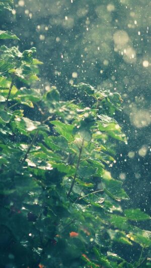 4K Rainy Day Wallpaper