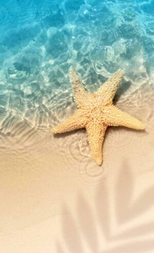 Summer Wallpaper