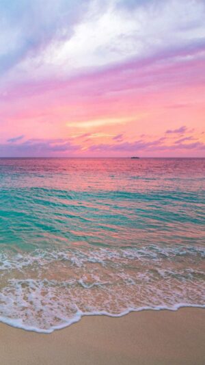 Summer Wallpaper