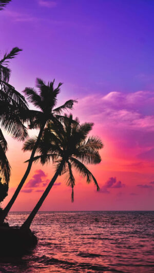 Summer Background