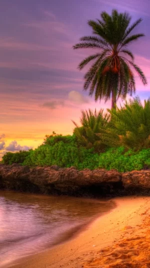 Summer Wallpaper