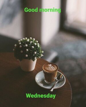 Wednesday Wallpaper