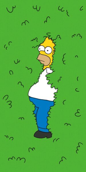 HD Homer Simpson Wallpaper 
