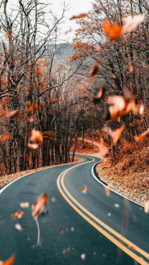 Autumn Wallpaper