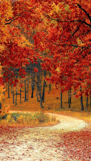 Autumn Background