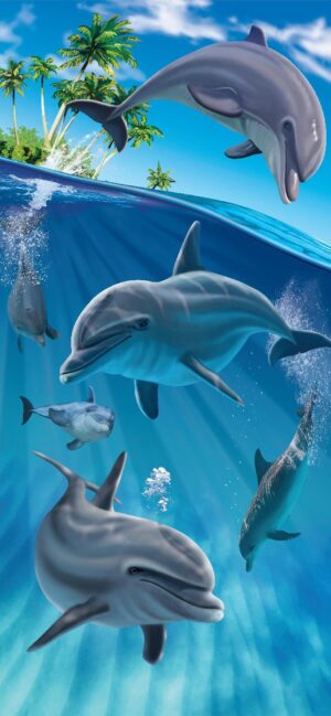 HD Dolphin Wallpaper