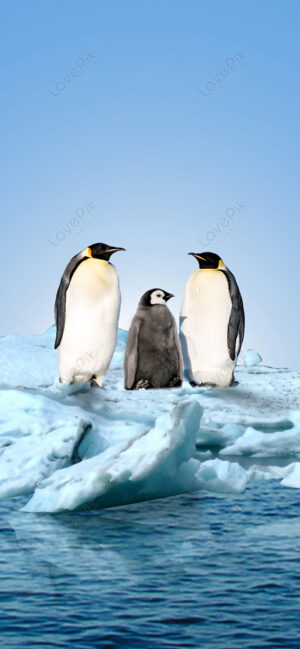 Penguins Background 