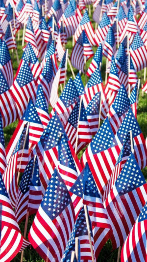 HD Veterans Day Wallpaper