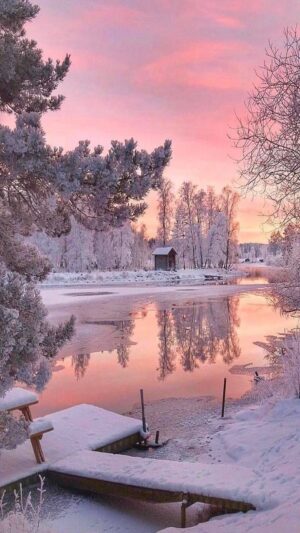 Winter Wallpaper