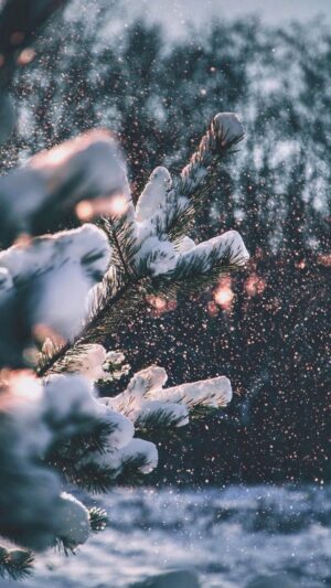 Winter Wallpaper