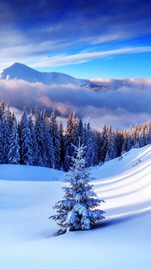 4K Winter Wallpaper