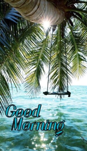 HD Good Morning Wallpaper