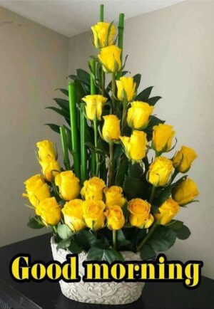 Good Morning Wallpaper