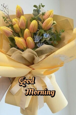 Good Morning Background