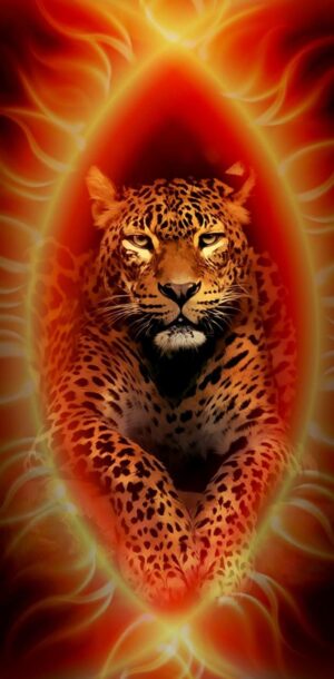 Leopard Wallpaper