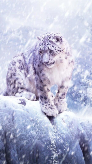 Leopard Wallpaper