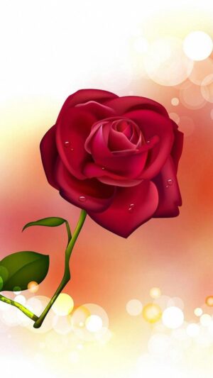 4K Rose Wallpaper