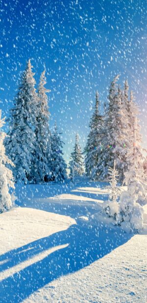 4K Snow Day Wallpaper