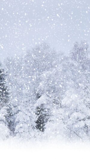 Snow Day Wallpaper