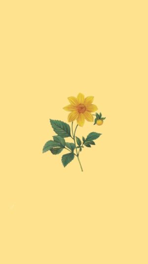 Yellow Wallpaper