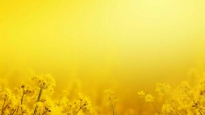 Desktop Yellow Wallpaper