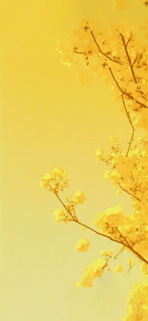 HD Yellow Wallpaper