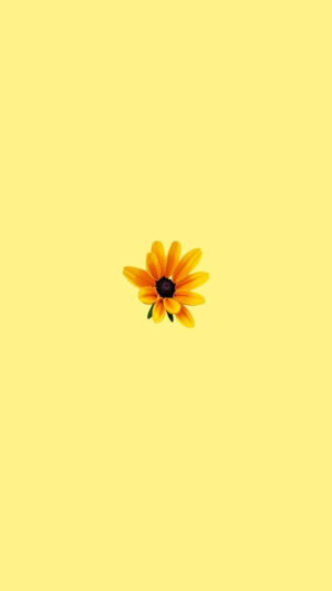 Yellow Wallpaper