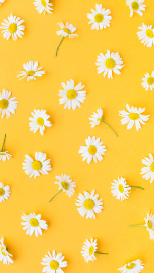 4K Yellow Wallpaper