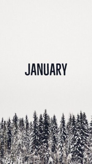 4K January Wallpaper