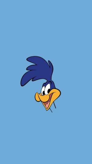 Roadrunner Wallpaper