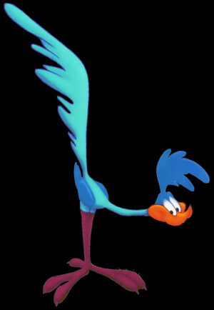 Roadrunner Wallpaper