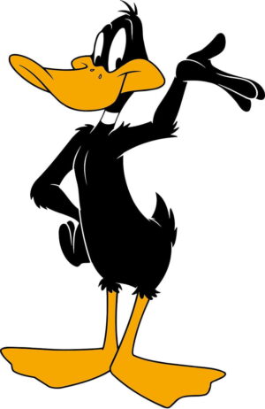 Roadrunner Background