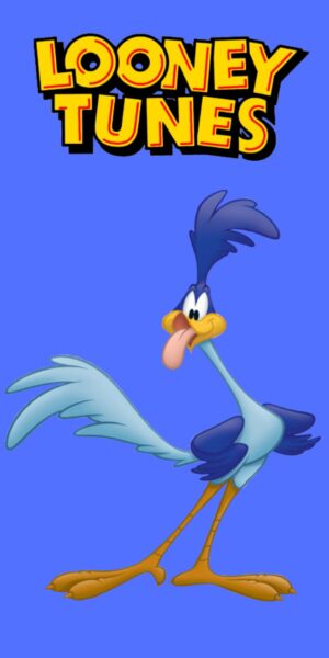 4K Roadrunner Wallpaper