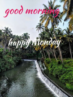 HD Monday Wallpaper