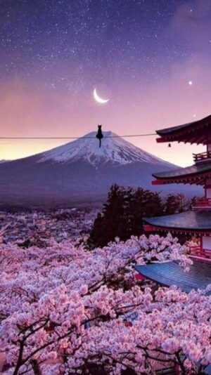 Cherry Blossom Wallpaper